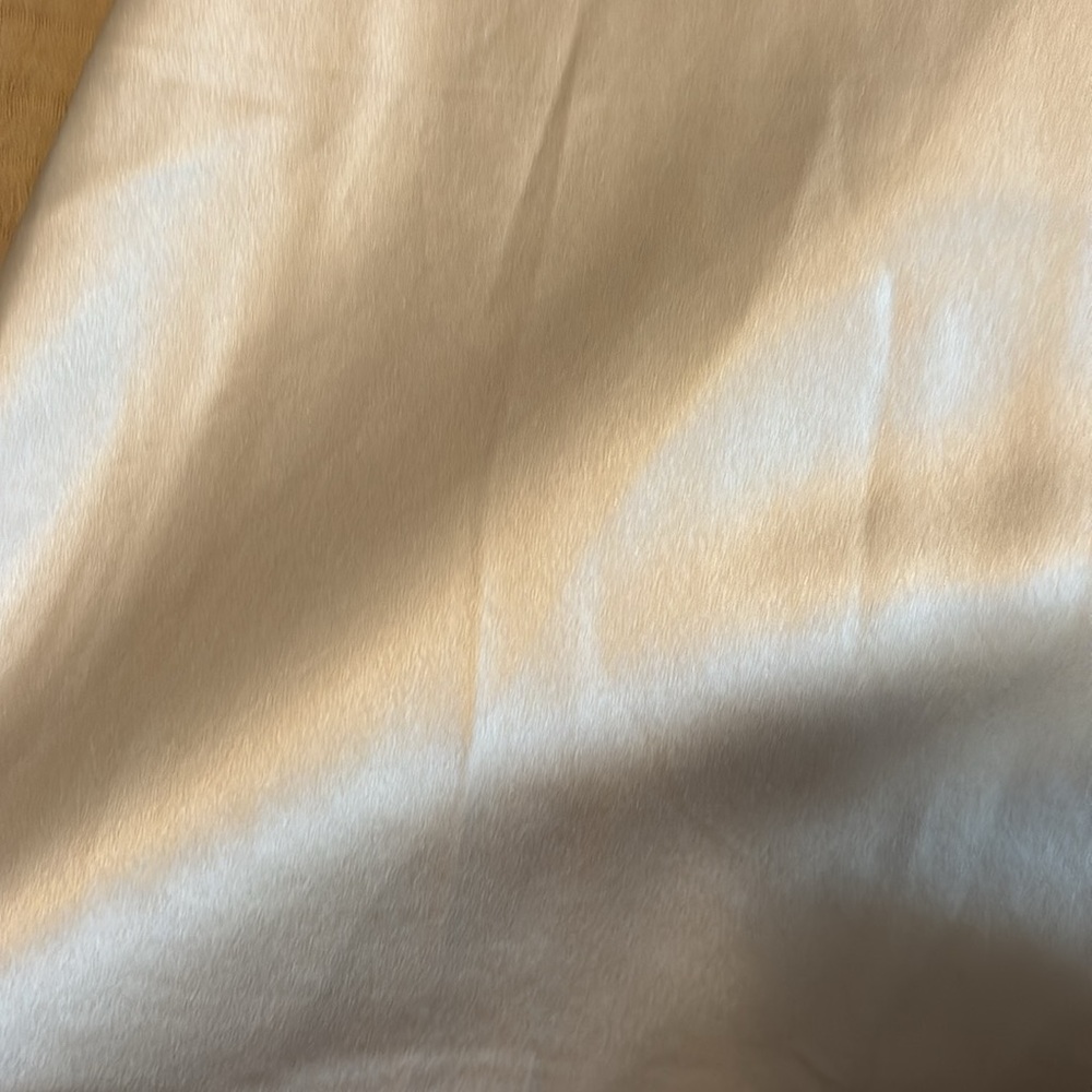 Quince Silk Skirt - Picture 7 of 10